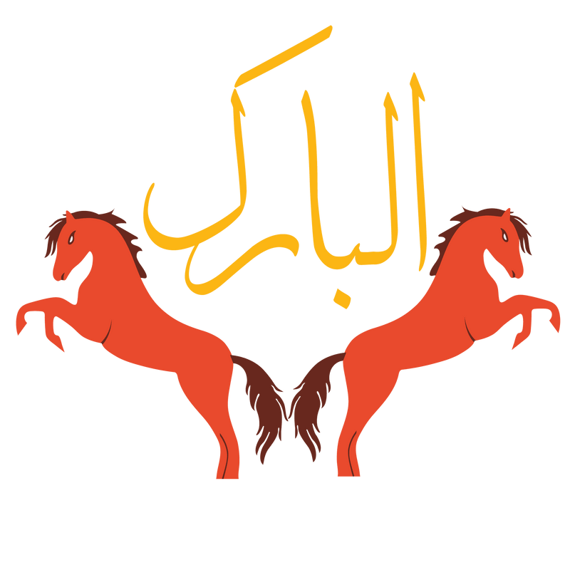 Huawei Y7p motherboard long flex (B763) Albarak mobile